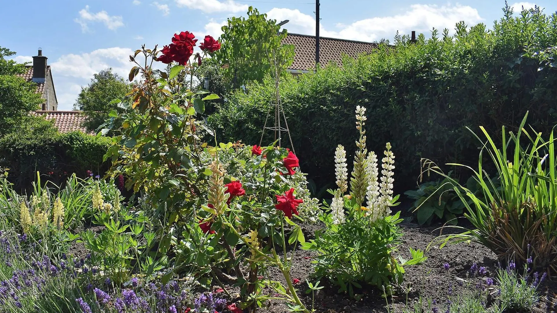 Ferienhaus Rowan Cottage Aislaby